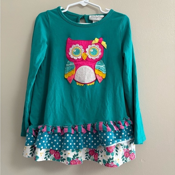Emily Rose Other - Emily Rose Teal Owl Long Sleeve Shirt
